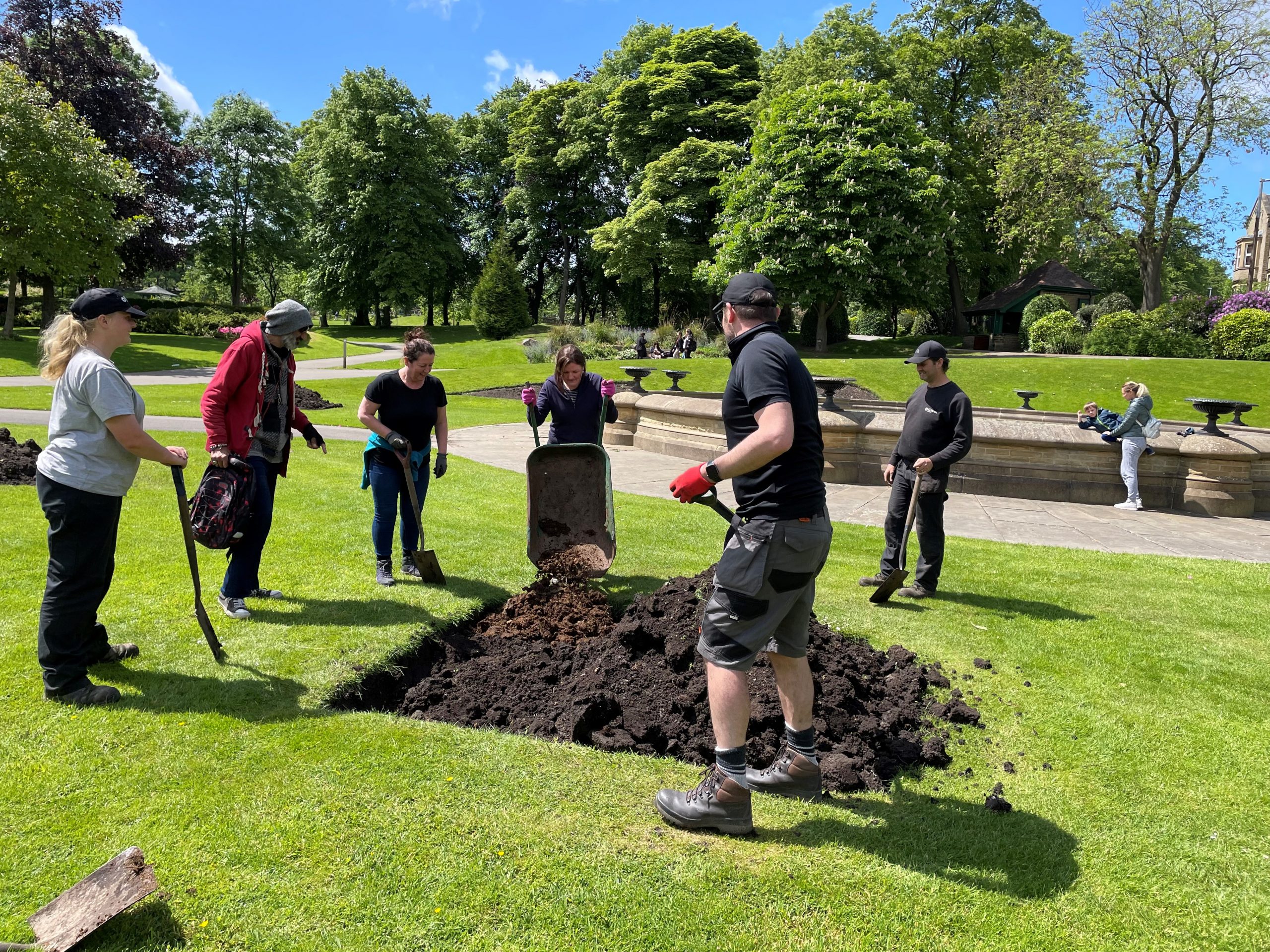 People digging, green trees in the background and green grass